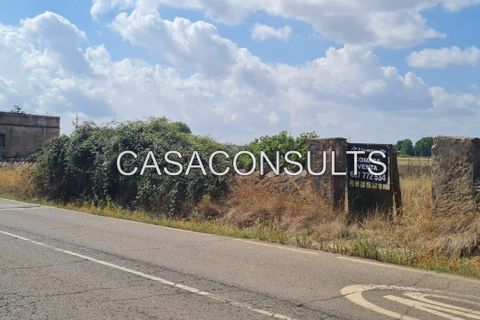 Landejendom i Benlloch, Castellon, Benlloch - € 155.000 | Ref: 901 - foto 5